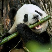 Qa Testn