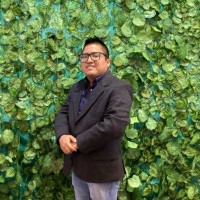 Brandon Watson Perez Flores