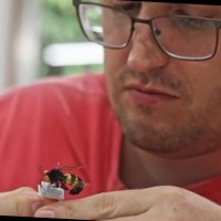 Pedro Reck Bartholomay