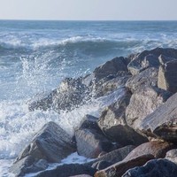 Cristina Lima Dias da Silva