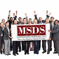MSDS Consultant