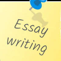 zhong essaywriting