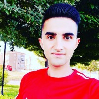 Serkan Temek
