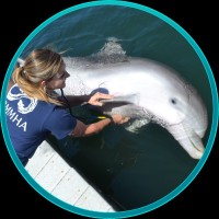 Barb Linnehan, Dvm, Dipl. Aczm