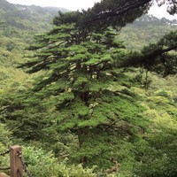李发军