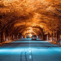 王顺杰