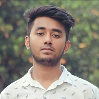Mahammudul Hassan Himel