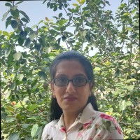 Divya Wadhawan