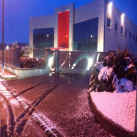 Gianfranco Cuccurullo