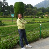 Vipin Tripathi