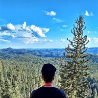 Vincent Ancona (LMSW)