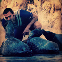 Tiago Viegas