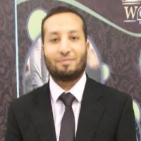 Ahmed Abdelfattah (Pmp,Pmi-Rmp, Ssyb,Sfc,Ncn-A)