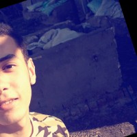 Mohamed Araby