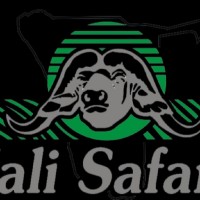 Nali Safaris