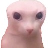 M I G U E L C U L Q U I