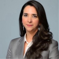 Angélica I. Pulido Chadid