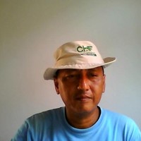 Marcino vaccaro Endi