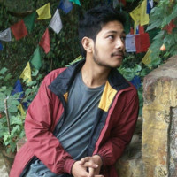 Niwesh Shrestha