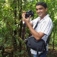 Dr. Pradeep Pratap Singh