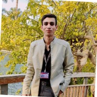 Kareem Aly