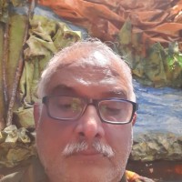 Manoj Kumar Mishra