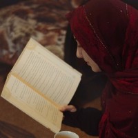 Rawan Shouaib