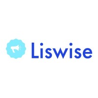 Liswise Digital Marketing Agency
