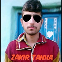Z Hb