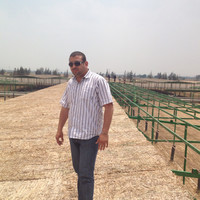 Fahmy Mostafa