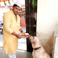Abhijeet D.