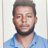 Habtemariam Fentie