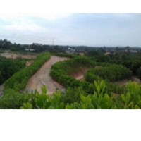 Hendrita Wika Lestari