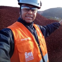 Ricardo Araújo