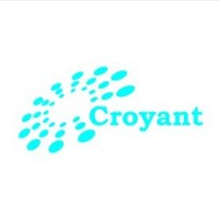 croyant software Technologies