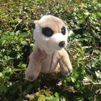 Sheldon Mascot