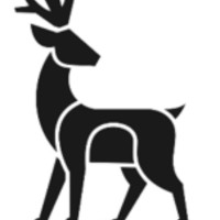 DEER-IT Solutions