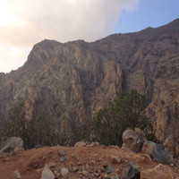 Turkialamri Rthoer