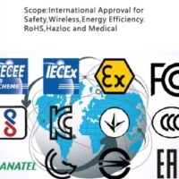 David Li, P.Eng. PMP