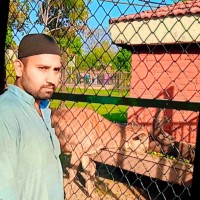 Rafiq Ali Rafiq Ali