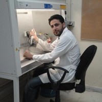 Waleed Mlook