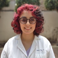 Sara Faz Villalobos