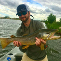 Jared Fremin