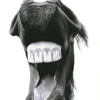 Steinar Kristjánsson