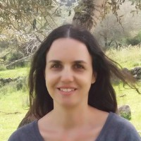 Stav Sapoznik