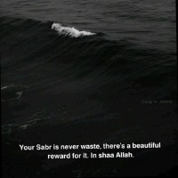 Zubair Salie