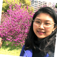 Yi Wen Lin