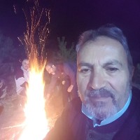 bahman vaziri
