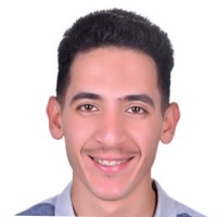 Mahmoud Amer