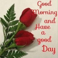 Ramesh BACKBONE ENTERPRISES LTD.